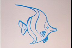 how-to-draw-undersea-animals