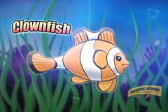 how-to-draw-undersea-animals