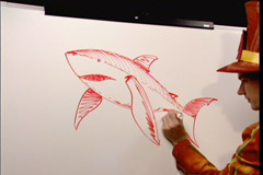 how-to-draw-undersea-animals