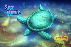 how-to-draw-undersea-animals