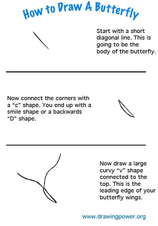 drawing-lessons-draw-butterfly