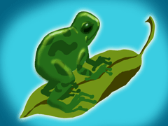 how-to-draw-frog